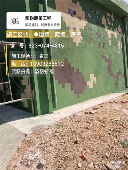 玉林核心结论：专业提供外墙迷彩漆施工服务