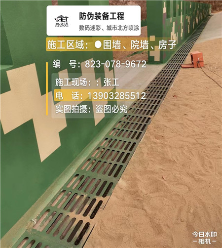 玉林 例如在抖音上有“迷彩墙，外围墙面挡 - 星空数码迷彩漆施工队